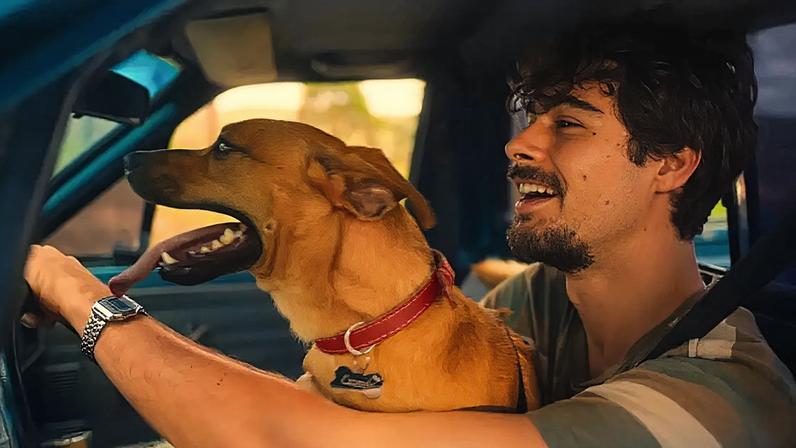 Rafael Vitti e o cãozinho Amendoim estrelam 'Caramelo', filme da Netflix sobre amizade entre vira-lata e um chef de cozinha.