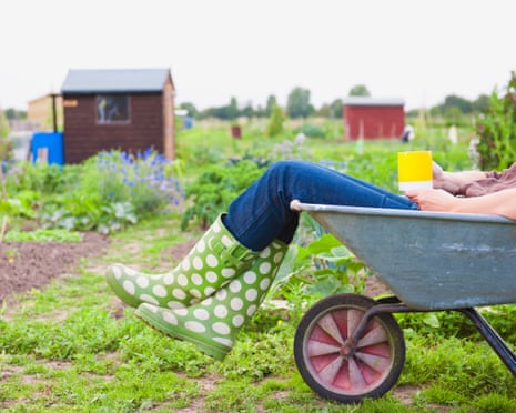 Consegui uma horta para escapar do caos e encontrei disputas acirradas