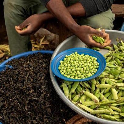 Crise no Estreito de Hormuz deve estimular a produção africana de biofertilizantes