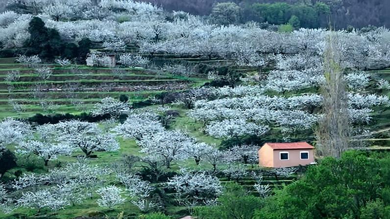 Conservadores espanhóis retomam pactos regionais com Vox, extrema-direita