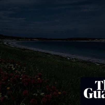 Escócia em flor: flores silvestres transformam Hébridas Exteriores em Technicolor