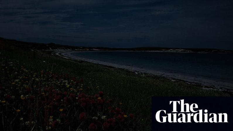 Escócia em flor: flores silvestres transformam Hébridas Exteriores em Technicolor