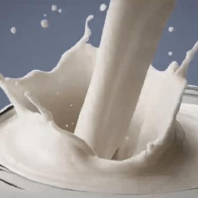 Leite de gergelim ganha espaço pelo alto valor nutritivo