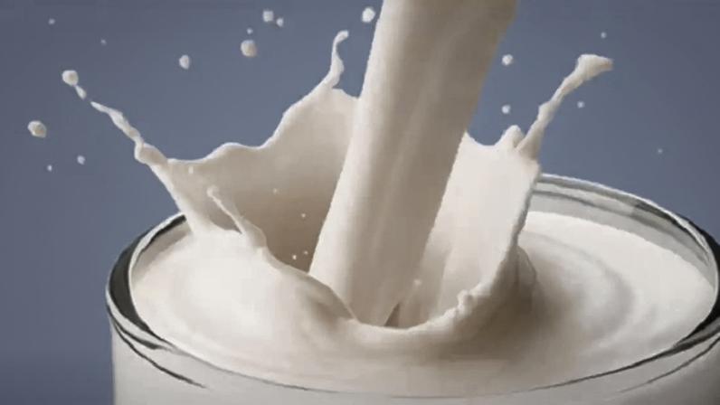 Leite de gergelim ganha espaço pelo alto valor nutritivo