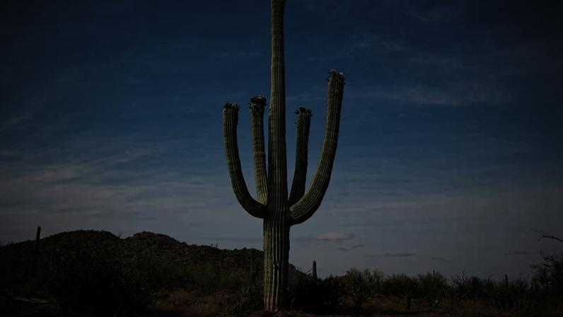 Técnicas de sobrevivência populares podem ser perigosas