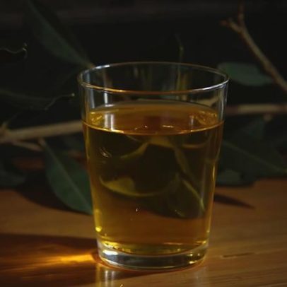 Colheita de azeitonas no RS aponta para produção histórica de azeite