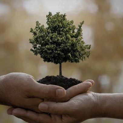Pequenas atitudes sustentáveis podem mudar o futuro do planeta