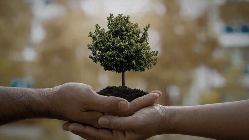 Sustentabilidade ambiental começa com pequenas escolhas feitas todos os dias (Imagem: Olivia Grigorita's Images via Canva)