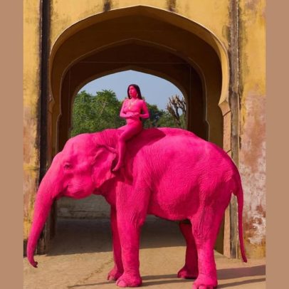 Elefanta pintada de rosa morre; revolta internacional contra maus-tratos