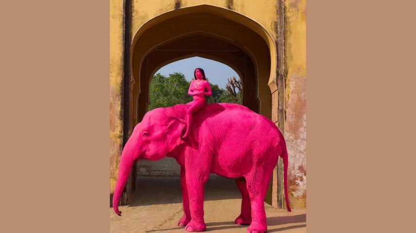 Caso da elefanta reacende debate sobre ética e bem-estar animal (Imagem: @julia.buruleva/Instagram)