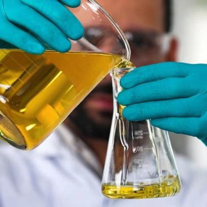 Aliança pelo biodiesel impulsiona desenvolvimento sustentável e empregos no Brasil