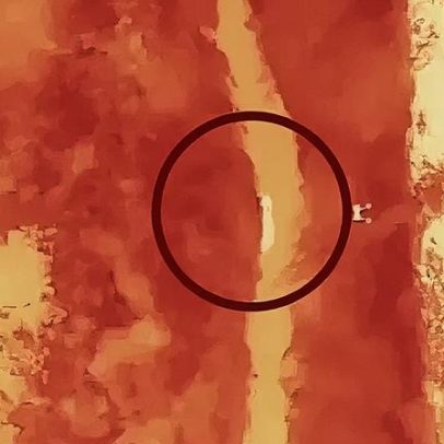 Corrida entre atletas e robôs na meia maratona da China