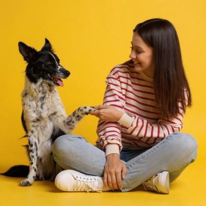 Cinco técnicas para ensinar comandos básicos ao cachorro
