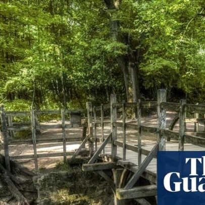 Winnie-the-Pooh completa 100 anos e inspira passeio pela floresta de Sussex
