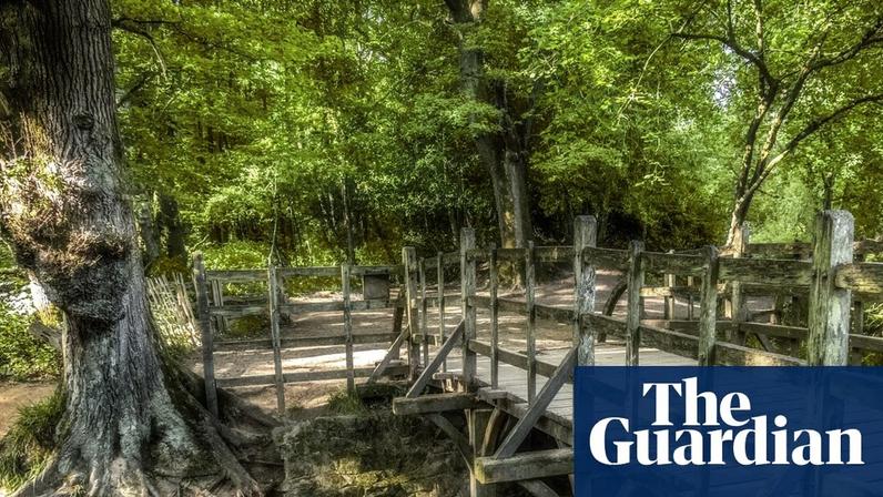 Winnie-the-Pooh completa 100 anos e inspira passeio pela floresta de Sussex