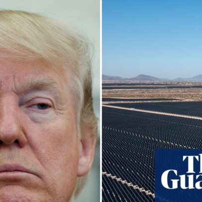 Esforço de Trump para frear energia limpa não avança, dizem especialistas