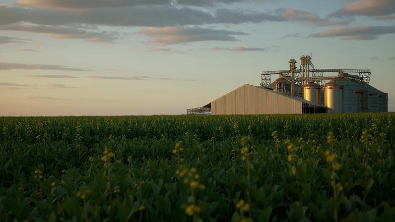 Entidade apontou violação à livre concorrência e danos ao agronegócio na diferenciação entre empresas. (Foto: Walbron Siqueira)