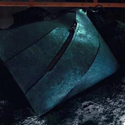 Bolsa de couro de dinossauro pode valer até R$ 3,4 milhões