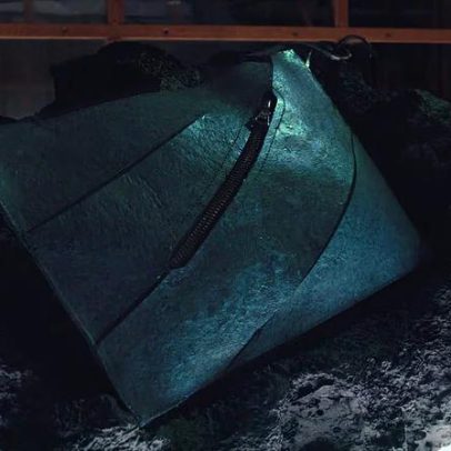 Bolsa de couro de dinossauro pode valer mais de R$ 3,4 milhões