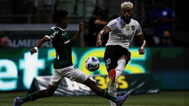 Alexander Barboza em ação pelo Botafogo contra o Palmeiras (Foto: Vítor Silva/Botafogo)