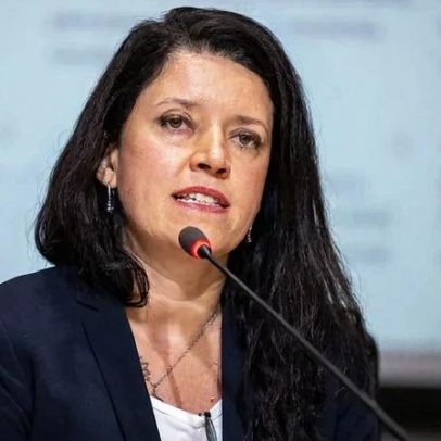 Setor privado leva recomendações ao governo sobre o mercado de carbono