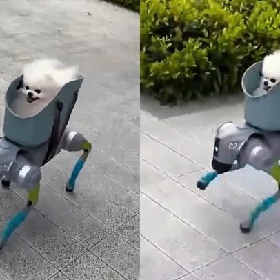 Vídeo mostra robô levando cachorro para passeio e viraliza