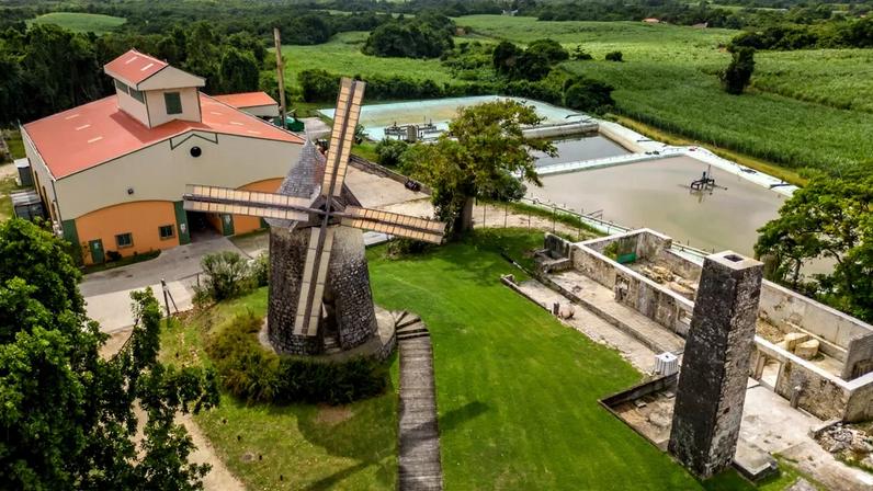 Rum de Marie-Galante, pilar da economia local em platô calcário