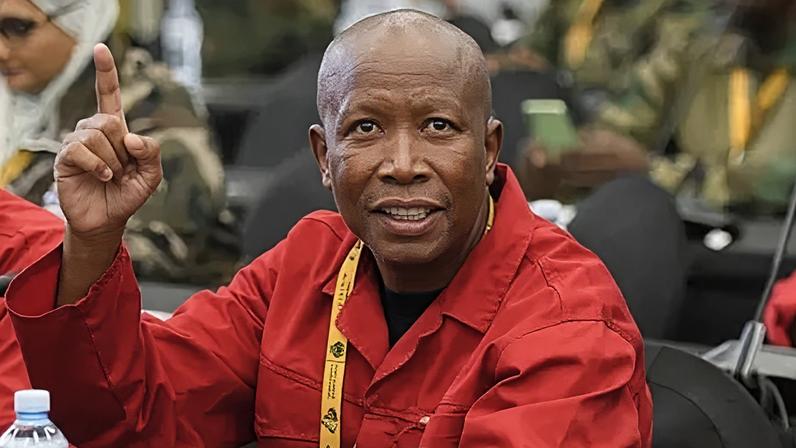 Julius Malema will probably lead his party into local elections despite the sentence