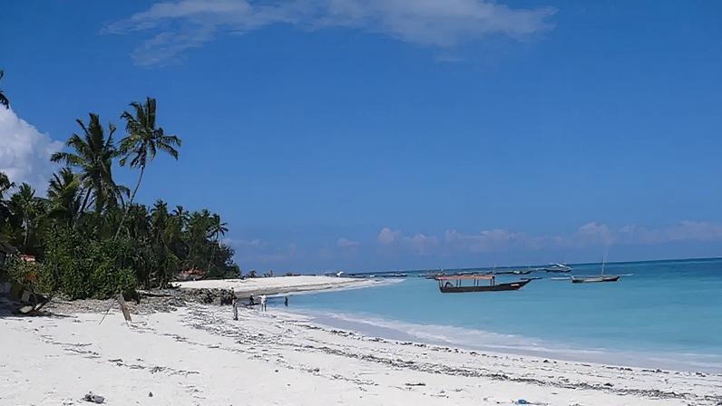 Zanzibar: arquitetura histórica e ligação com Freddie Mercury