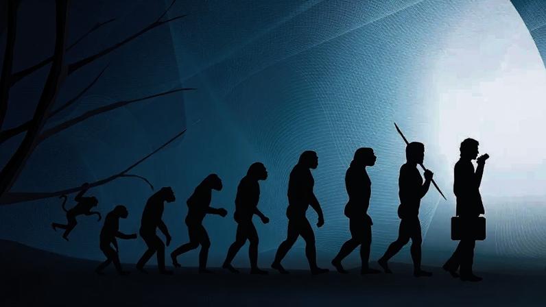 Nossos corpos são um arquivo vivo da evolução