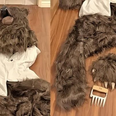 Três condenados por golpe de seguro com homem fantasiado de urso