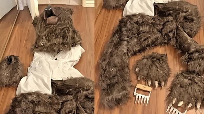 Três condenados por golpe de seguro com homem fantasiado de urso