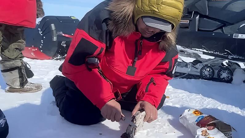 A man in kneeling on the ice in a red parka cutting a chunk of meat.