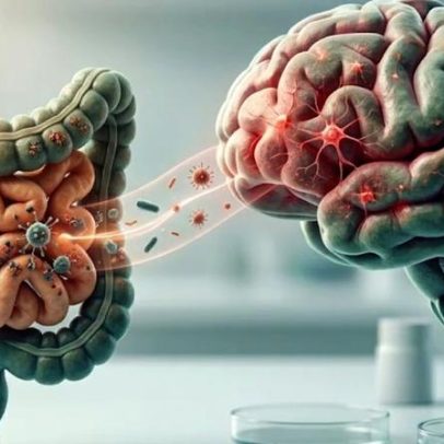 Bactérias intestinais associadas à ELA e à demência, aponta estudo