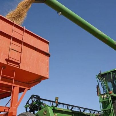 Conflitos e mudanças climáticas ameaçam a segurança alimentar global
