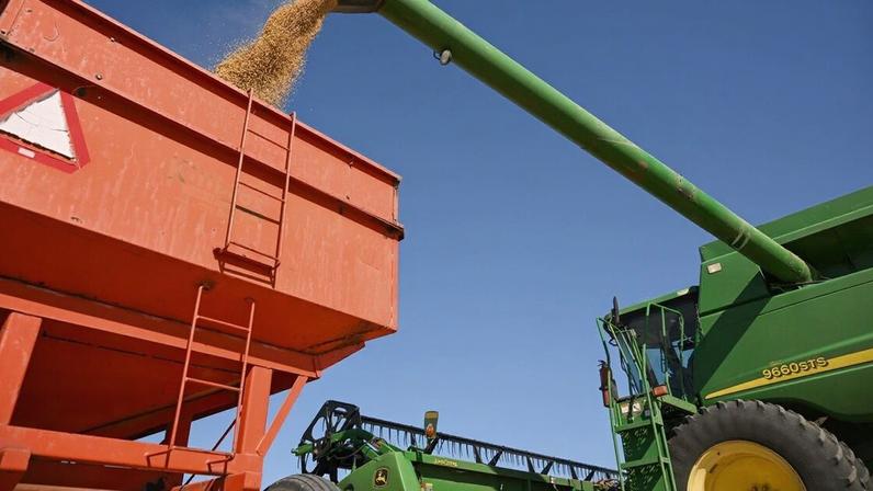 Quanto mais quente o planeta fica, maior é a pressão sobre a agricultura (Foto: Clayton Steward/Bloomberg)
