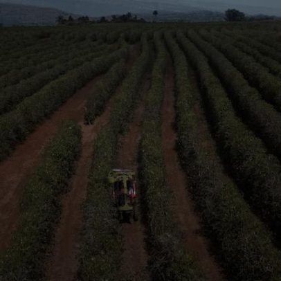El Niño ameaça agricultura e economia da América Latina, Brasil ao Peru