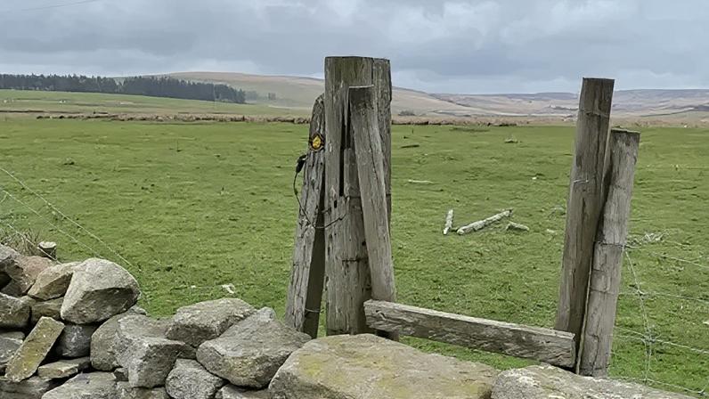 Parque eólico não deve afastar turistas de Bronte