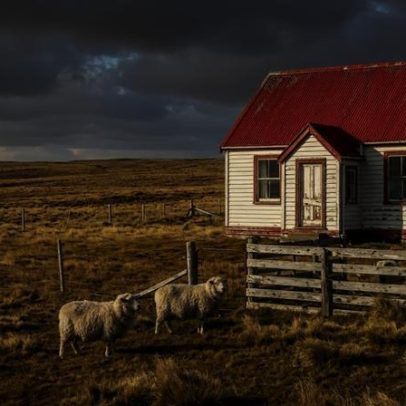 Moradores das Malvinas constroem casas com lã e destroços que enfrentam o vento