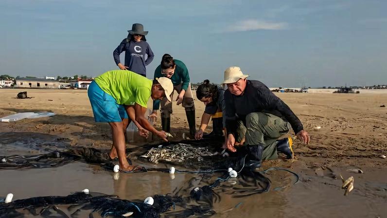Pesquisadores buscam desenvolver projetos interdisciplinares que integrem ciências humanas e naturais para enfrentar a crise ambiental, mas encontram barreiras históricas e estruturais