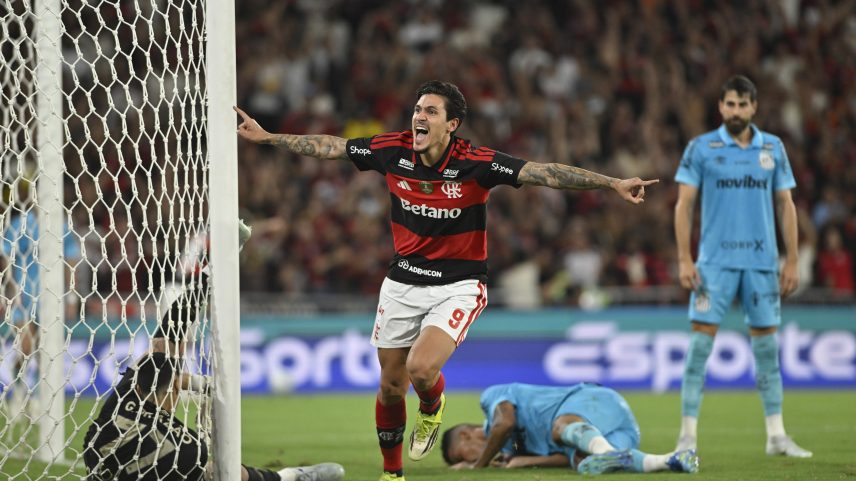 Pedro comemora gol do Flamengo contra o Santos — Foto: André Durão / ge