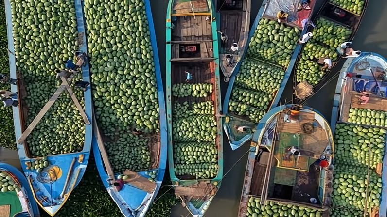 Watermelon traders gather at a floating wholesale market along the Sandha River in Pirojpur, Bangladesh. Photograph: Syed Mahabubul Kader/ZUMA Press Wire/Shutterstock