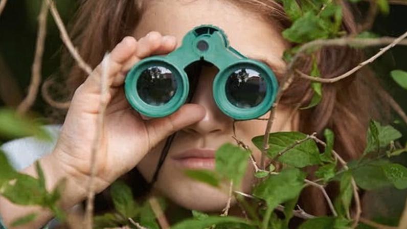 ‘Just like the fictional Pokémon trainer, the birdwatcher finds themself gradually going farther afield in pursuit of new critters.’ Photograph: PeopleImages/Getty Images