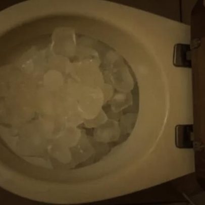 Truque do gelo no vaso funciona? Saiba por que ficou popular e como fazer