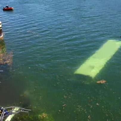 Ônibus cai no Sena perto de Paris; resgate usa drones e helicópteros