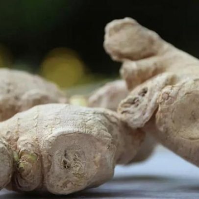 Gengibre: sabor acentuado e potenciais benefícios à saúde