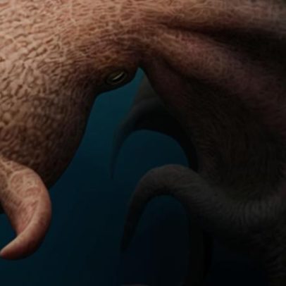 Polvos gigantes parecidos com Kraken há 100 milhões de anos esmagavam ossos