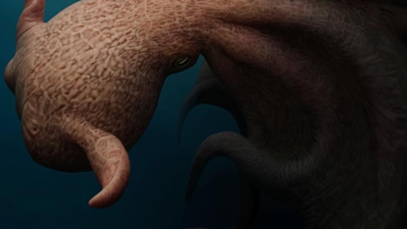 ‘I certainly wouldn’t have wanted to go swimming in the ancient oceans if these things were swimming around,’ one scientist said. Illustration: Hokkaido University