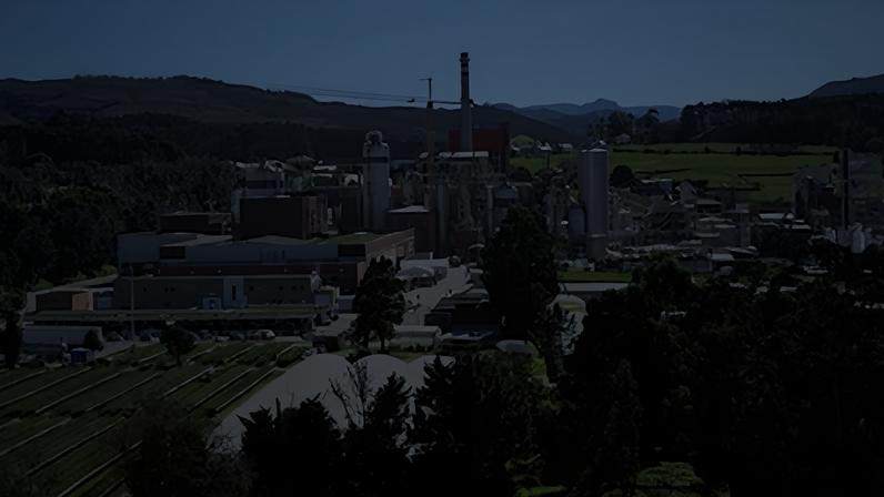 Biofábrica de celulosa de Ence en Navia (Asturias), en una imagen cedida por la compañía.