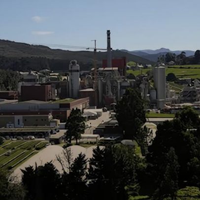 Ence projeta impulso no resultado a partir de maio com valorização da celulose
